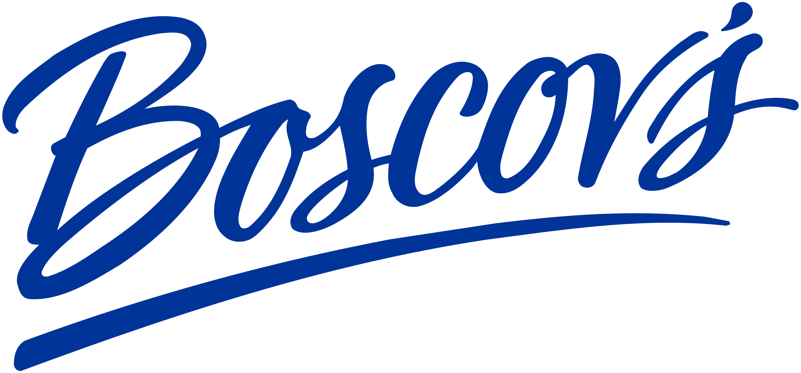 Boscov’s